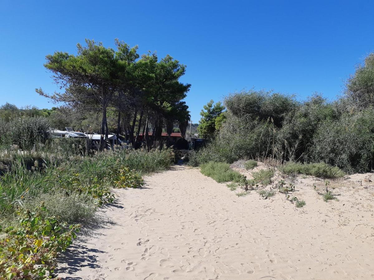 La Dimora In Riva Al Mare Hotel Vieste Eksteriør billede