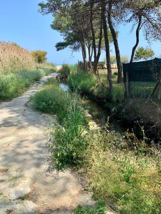 La Dimora In Riva Al Mare Hotel Vieste Eksteriør billede